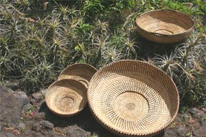 Artesan�a La Palma